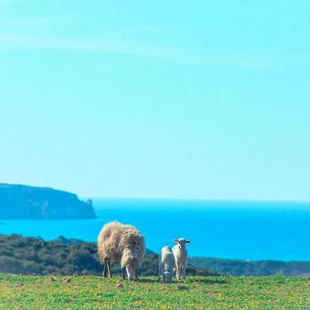 Vila Agriturismo Il Ginepro Fluminimaggiore Exteriér fotografie