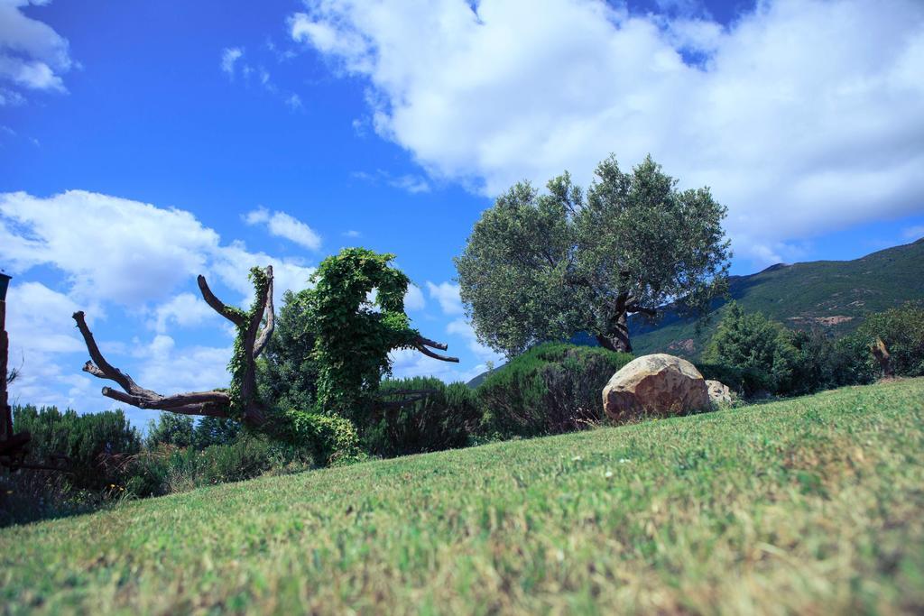 Vila Agriturismo Il Ginepro Fluminimaggiore Exteriér fotografie