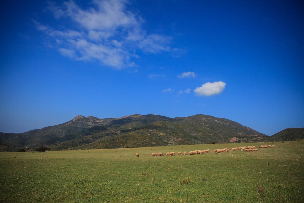 Vila Agriturismo Il Ginepro Fluminimaggiore Exteriér fotografie