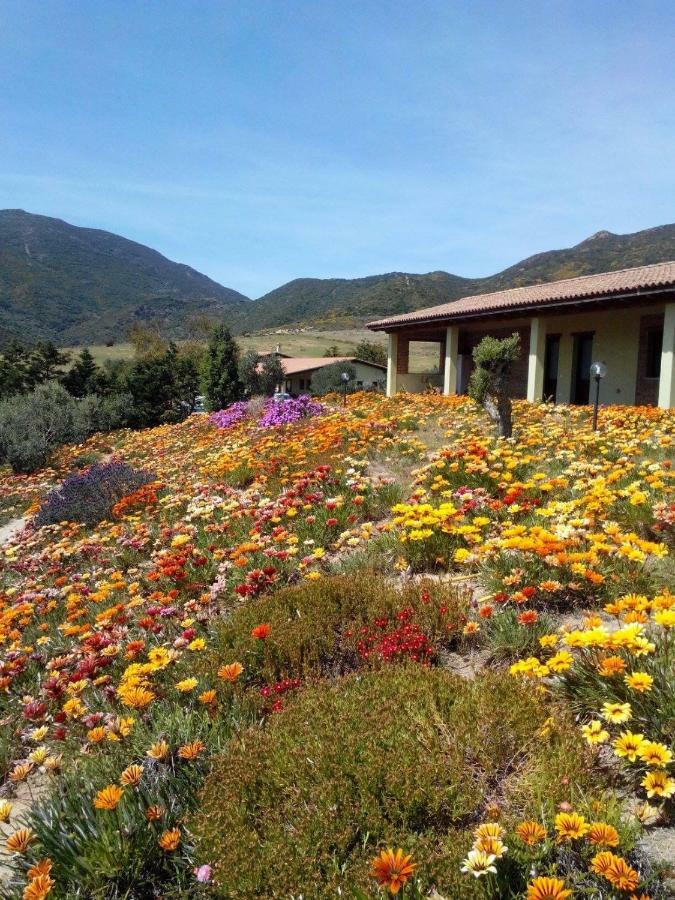 Vila Agriturismo Il Ginepro Fluminimaggiore Exteriér fotografie