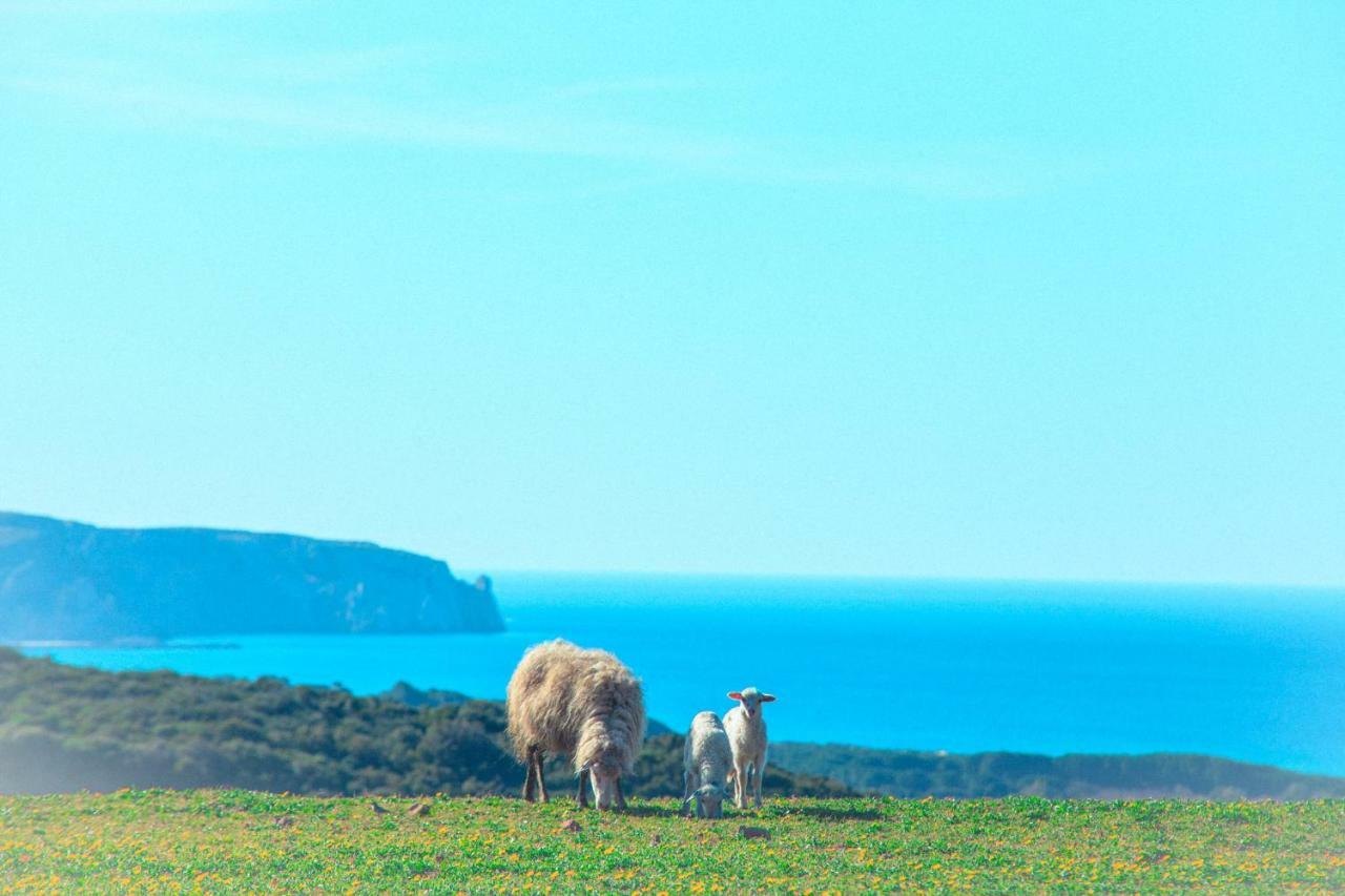 Vila Agriturismo Il Ginepro Fluminimaggiore Exteriér fotografie