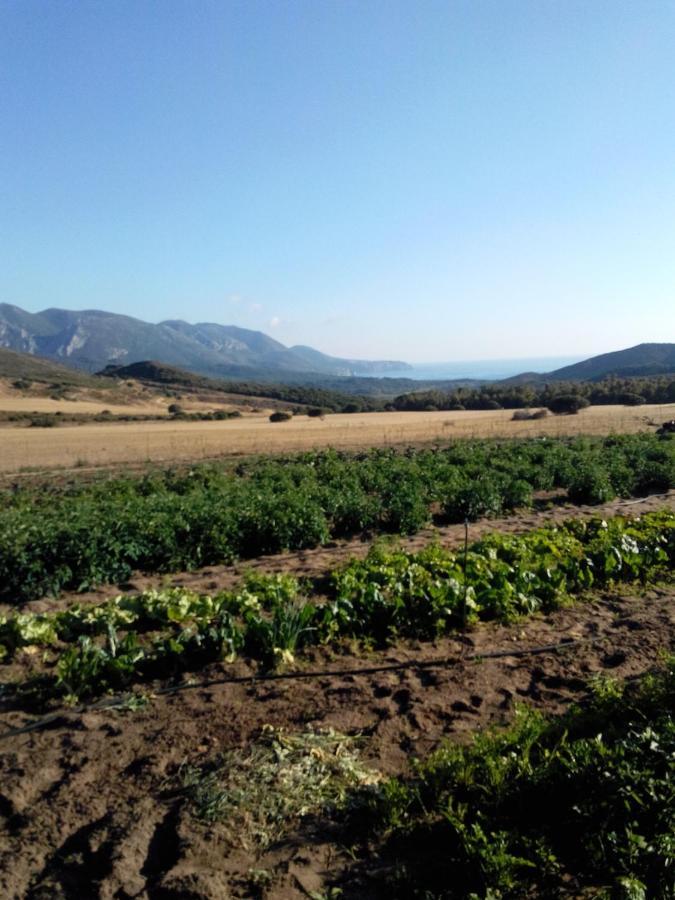 Vila Agriturismo Il Ginepro Fluminimaggiore Exteriér fotografie